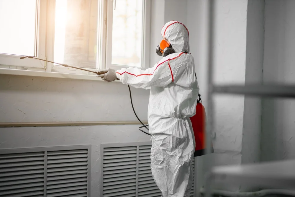 Professional mold remediation services in Harvey, IL